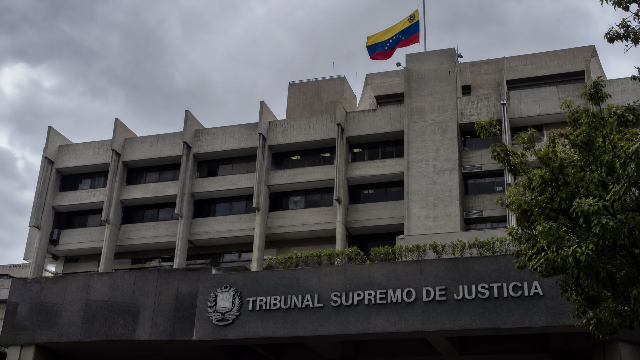 Los juristas que sí nombraron lo que el TSJ calló