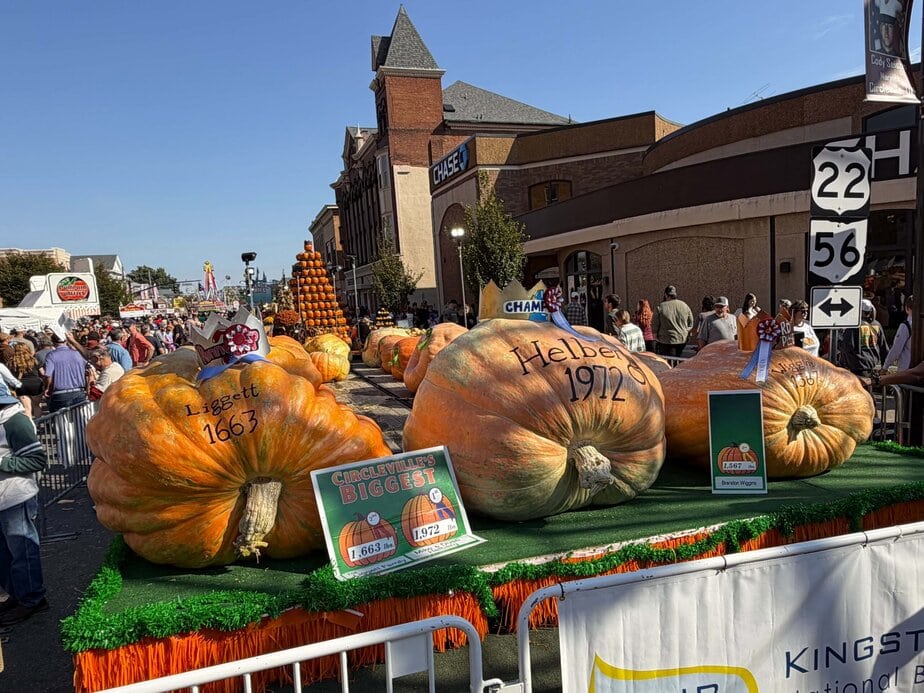 Circleville Pumpkin Show en Ohio.